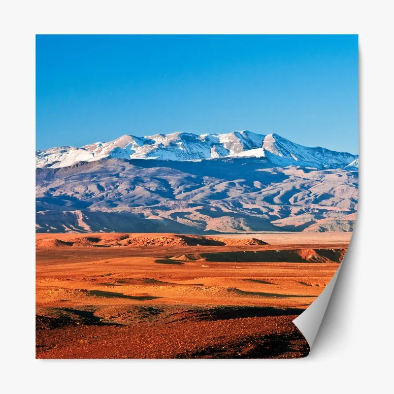 Naklejka repozycjonowalna portret czarnej pantery na czarnym tle – Wallissimo®