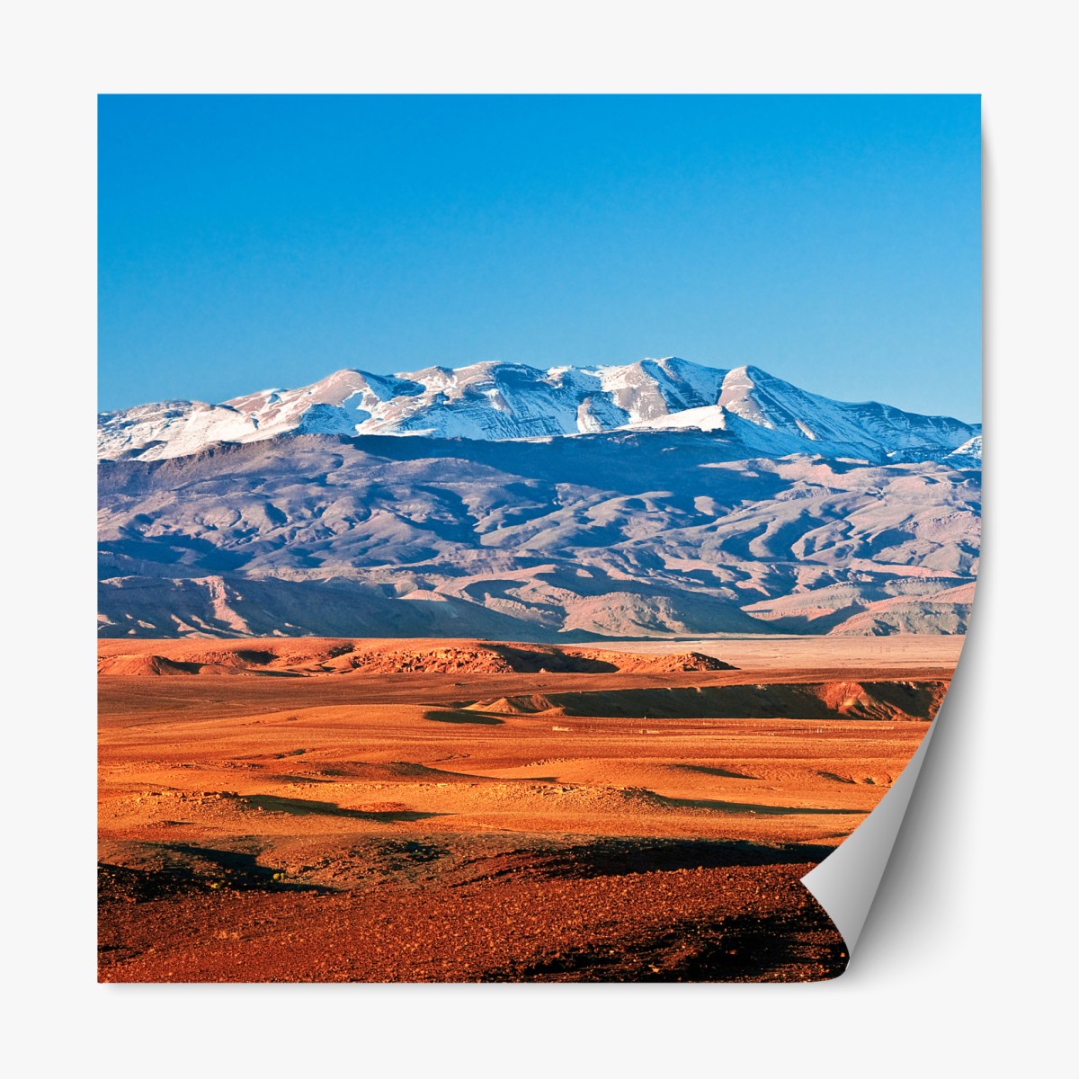 Repositionable sticker sunlit desert with snow-capped mountains