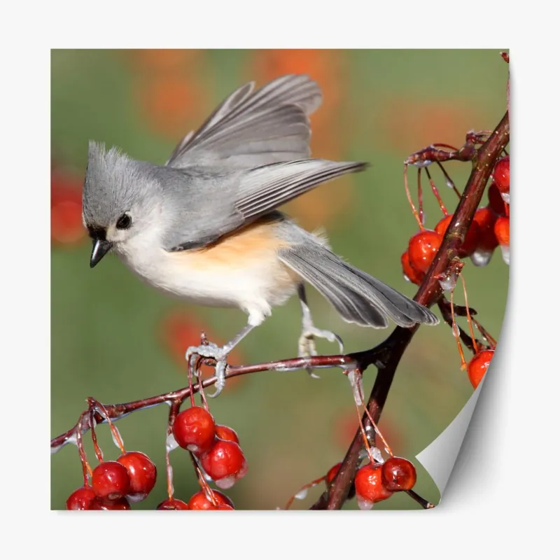 Naklejka repozycjonowalna akwarelowe liście eukaliptusa na ciemnym tle – Wallissimo®