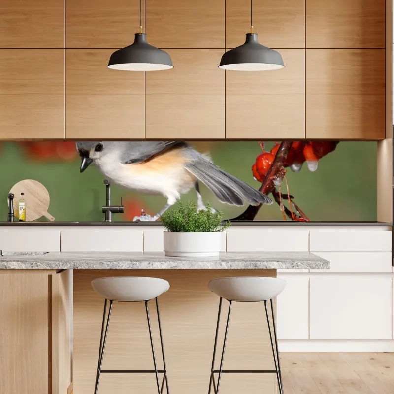 Naklejka repozycjonowalna szary ptak na czerwonych jagodach – Wallissimo® Naklejka repozycjonowalna szary ptak na czerwonych jagodach – Wallissimo®