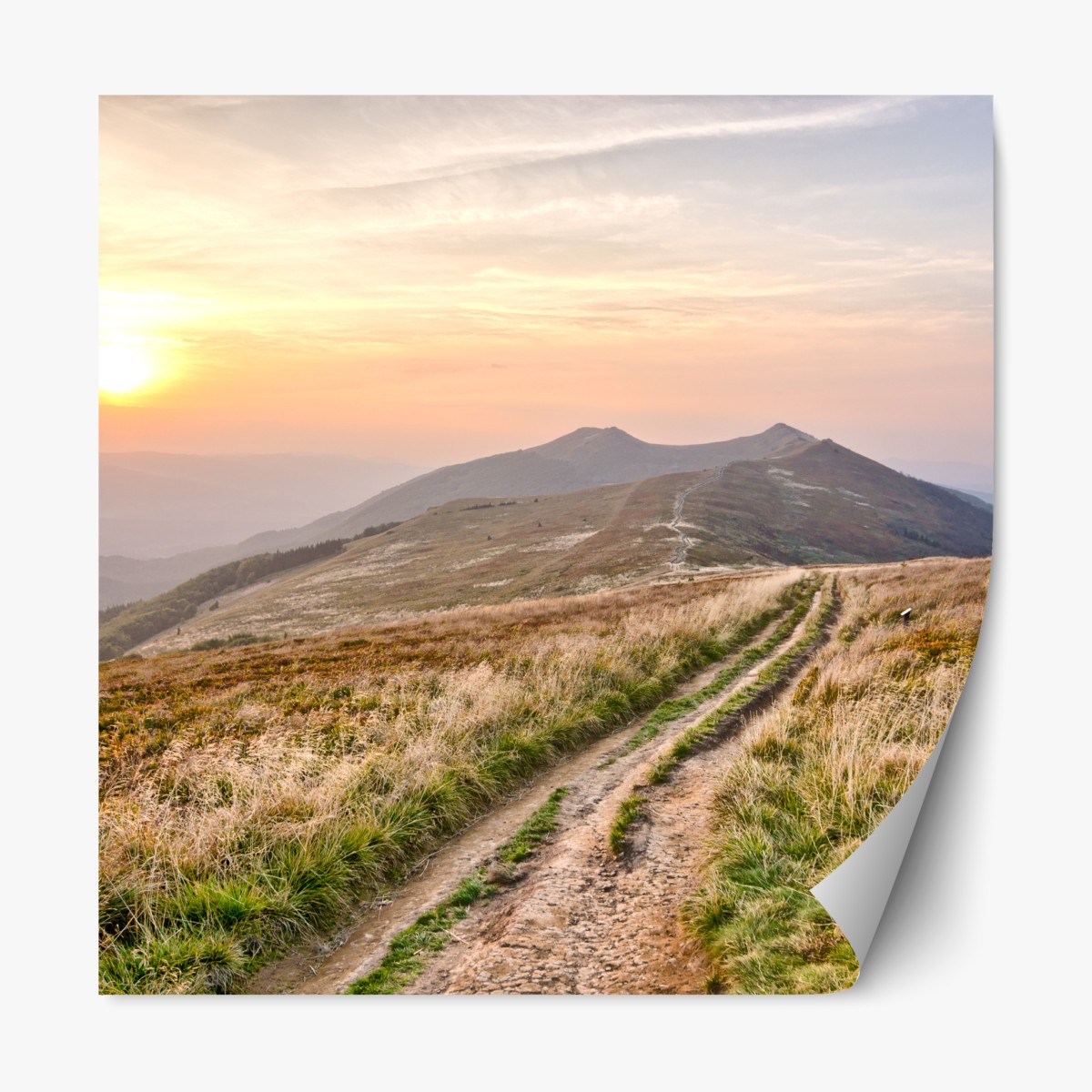 Repositionable sticker golden mountain trail at sunset