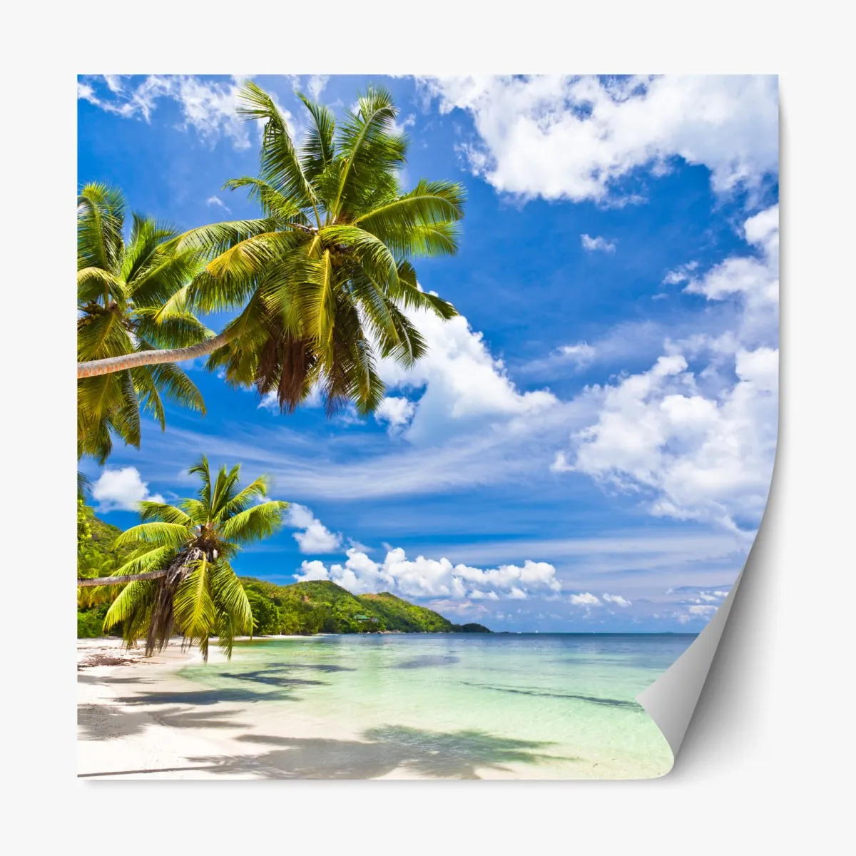 Naklejka repozycjonowalna tropikalna plaża z palmami – Wallissimo® Naklejka repozycjonowalna tropikalna plaża z palmami – Wallissimo®