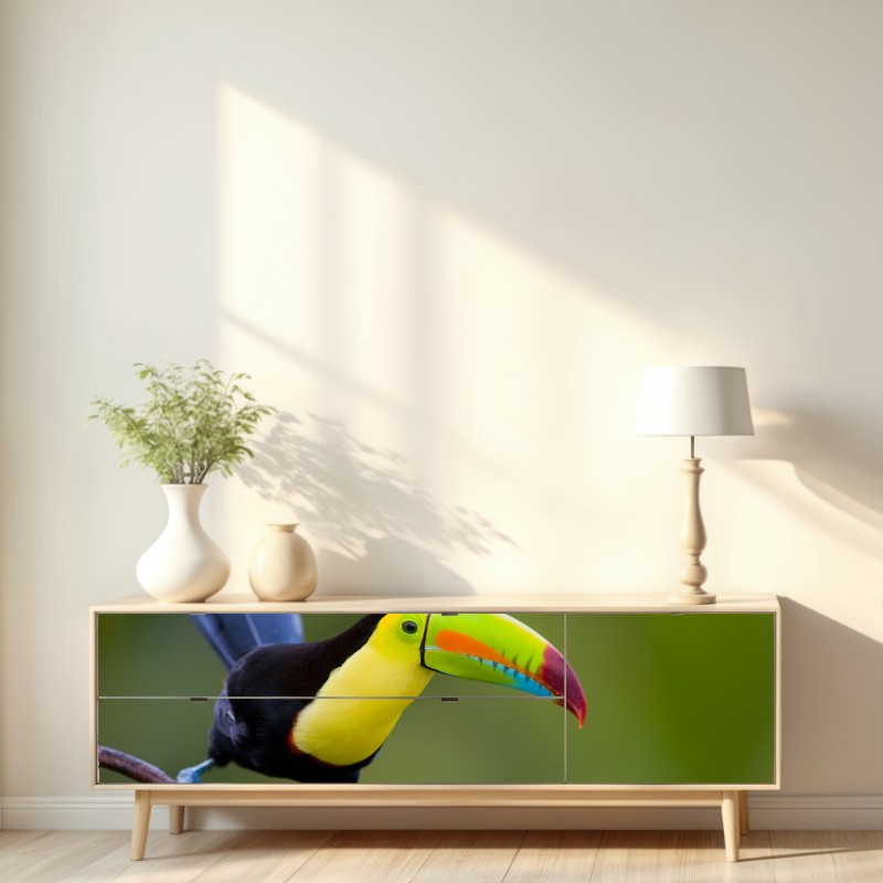 Naklejka repozycjonowalna żywy portret tukana – Wallissimo® Naklejka repozycjonowalna żywy portret tukana – Wallissimo®