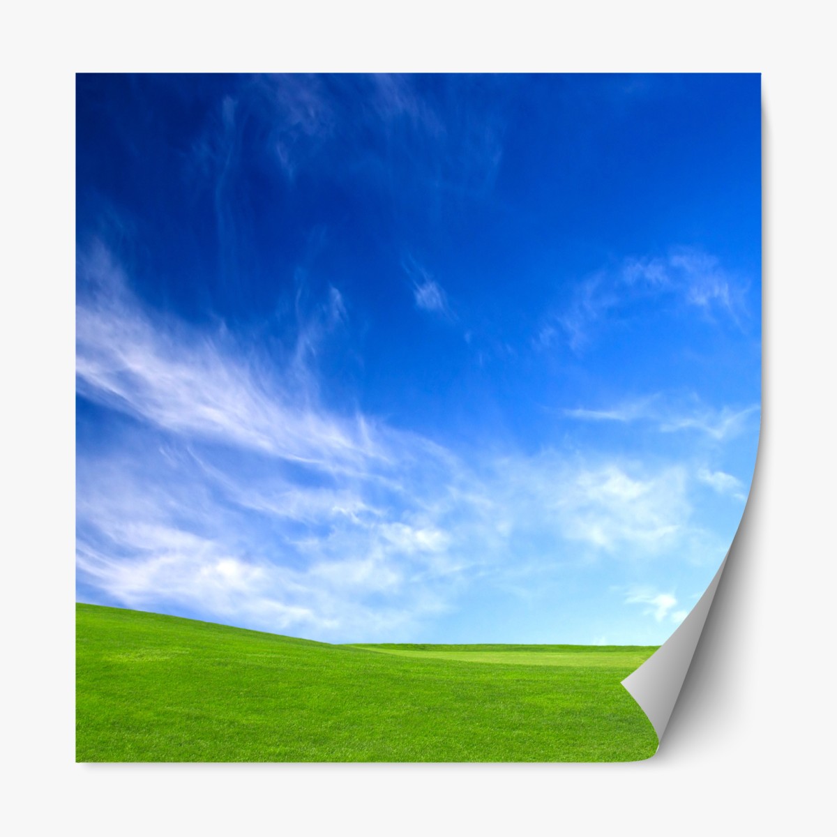 Repositionable sticker sunlit green meadow under blue sky