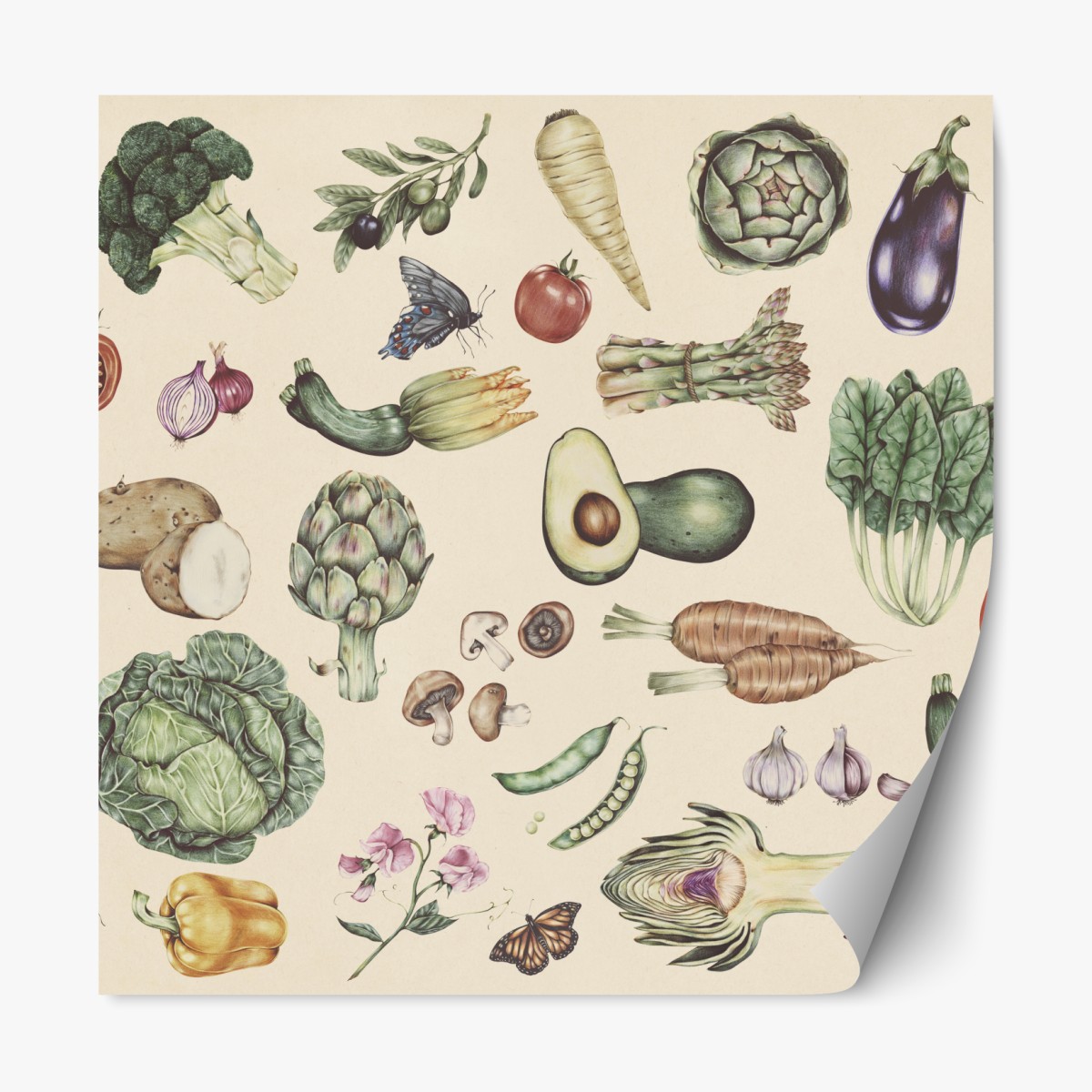 Repositionable sticker hand-drawn vegetable botanical print