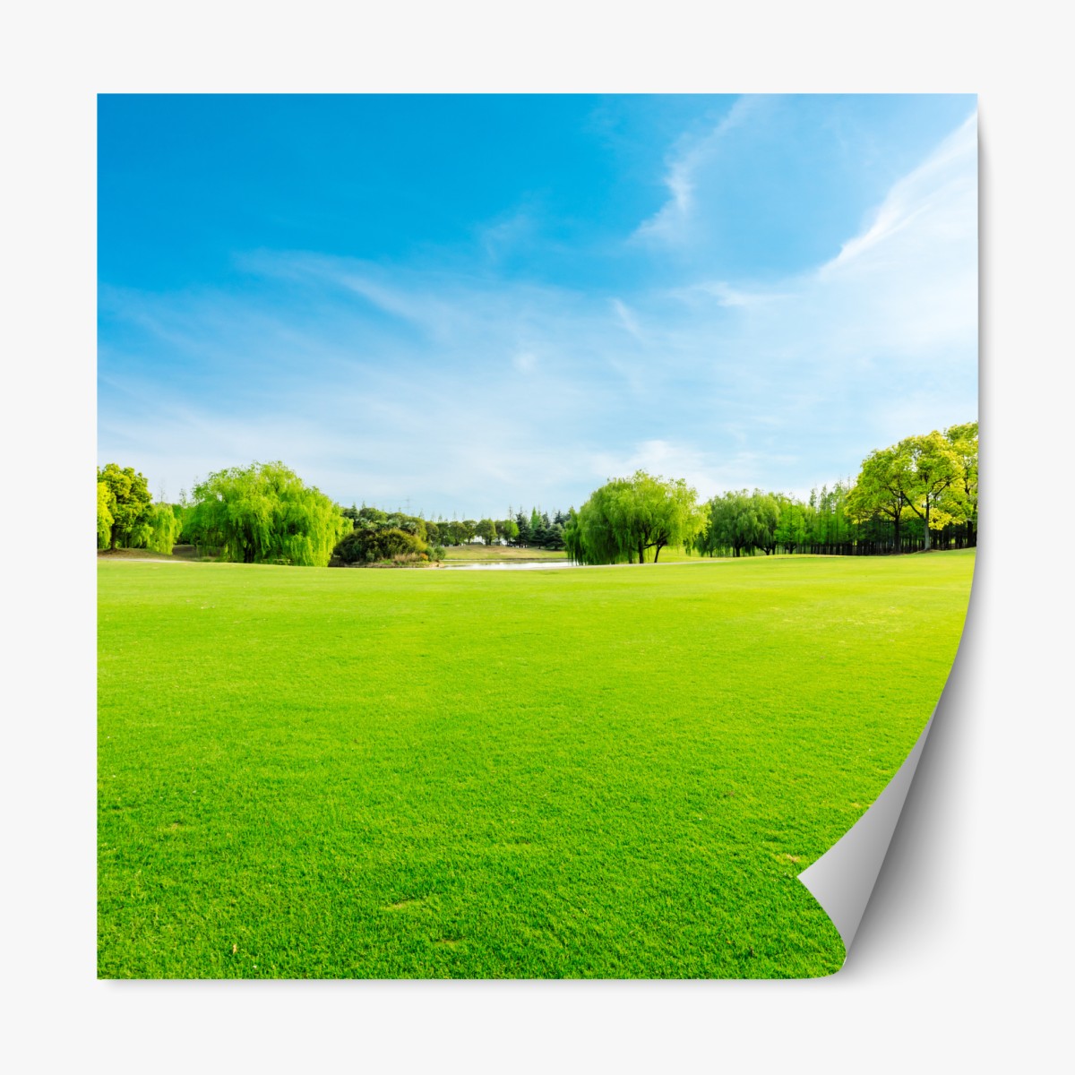 Repositionable sticker serene green meadow under a blue sky