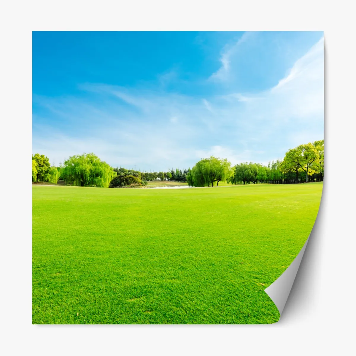 Naklejka repozycjonowalna spokojna zielona łąka pod błękitnym niebem – Wallissimo® Naklejka repozycjonowalna spokojna zielona łąka pod błękitnym niebem – Wallissimo®
