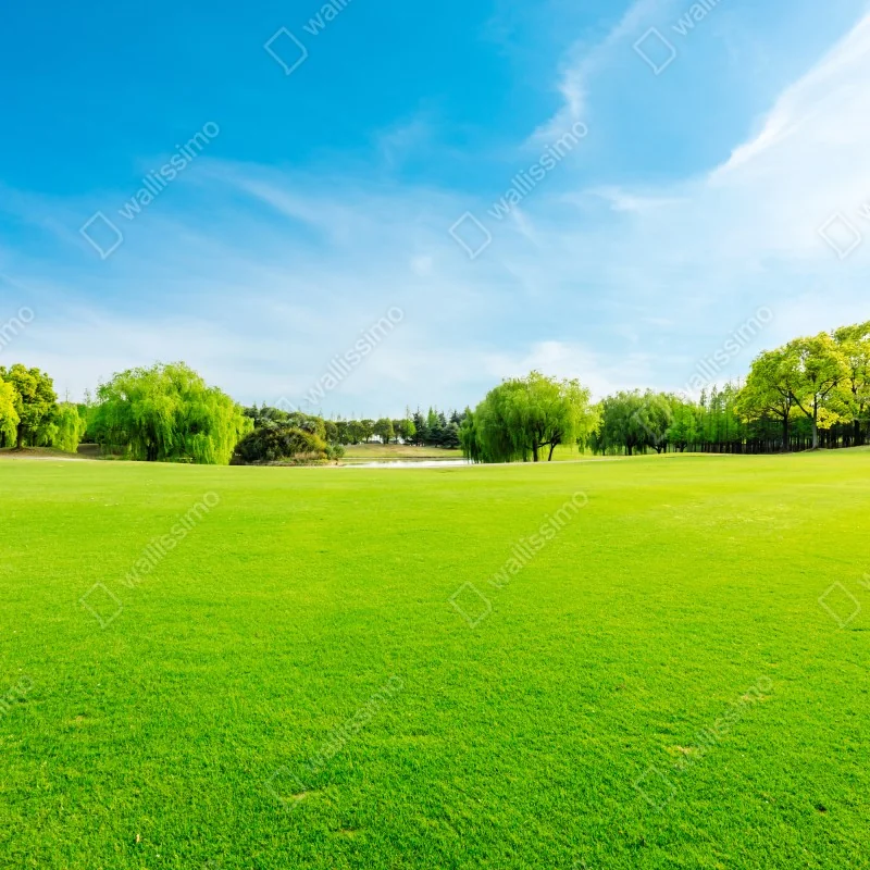 Naklejka repozycjonowalna spokojna zielona łąka pod błękitnym niebem – Wallissimo® Naklejka repozycjonowalna spokojna zielona łąka pod błękitnym niebem – Wallissimo®