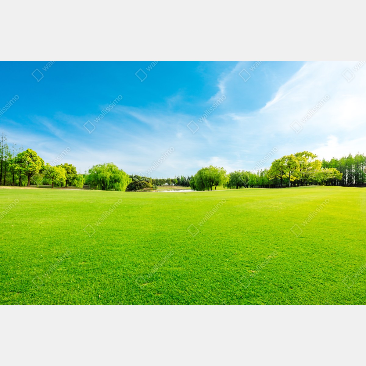 Naklejka repozycjonowalna spokojna zielona łąka pod błękitnym niebem – Wallissimo® Naklejka repozycjonowalna spokojna zielona łąka pod błękitnym niebem – Wallissimo®