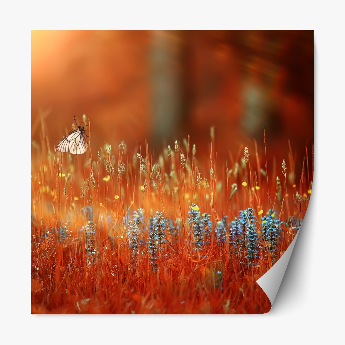 Repositionable sticker butterfly in a golden meadow