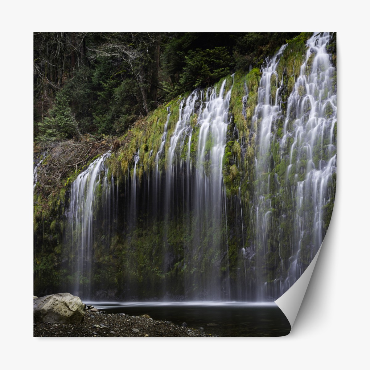 Repositionable sticker mossy waterfall in forest
