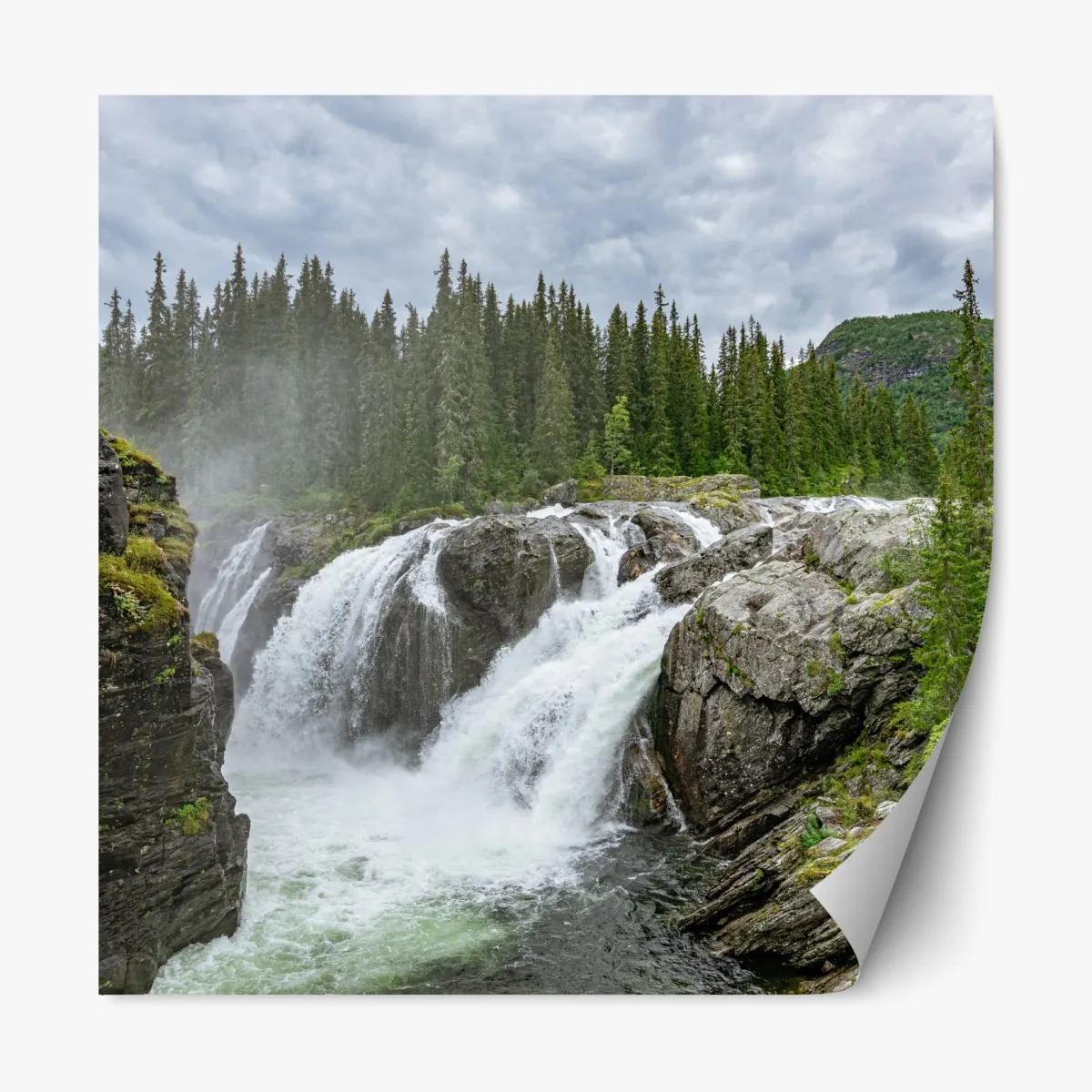 Naklejka repozycjonowalna mglisty wodospad w bujnym sosnowym lesie – Wallissimo® Naklejka repozycjonowalna mglisty wodospad w bujnym sosnowym lesie – Wallissimo®