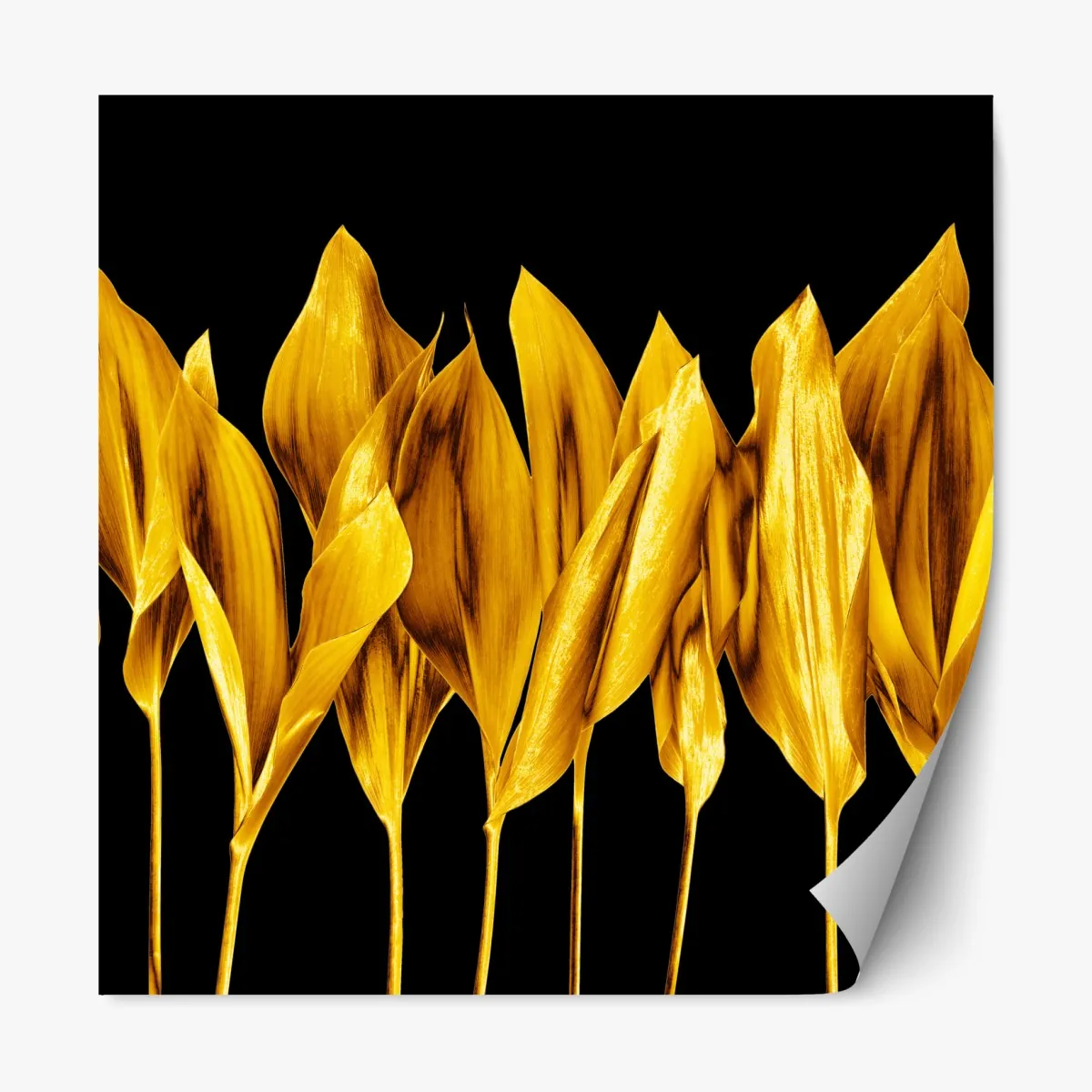 Naklejka repozycjonowalna złote liście na czarnym tle – Wallissimo® Naklejka repozycjonowalna złote liście na czarnym tle – Wallissimo®