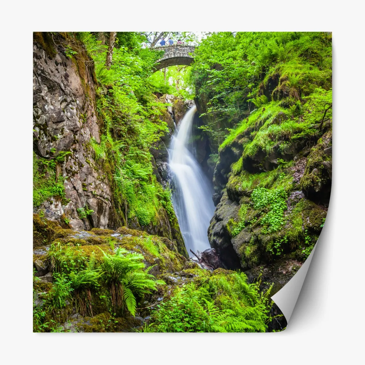 Naklejka repozycjonowalna wodospad w mchem porośniętym wąwozie z kamiennym mostem – Wallissimo® Naklejka repozycjonowalna wodospad w mchem porośniętym wąwozie z kamiennym mostem – Wallissimo®