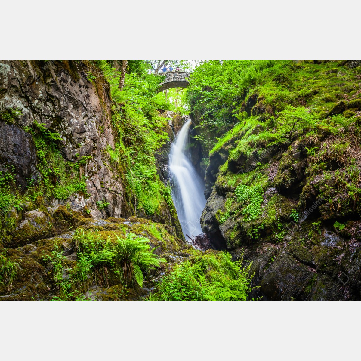 Naklejka repozycjonowalna wodospad w mchem porośniętym wąwozie z kamiennym mostem – Wallissimo® Naklejka repozycjonowalna wodospad w mchem porośniętym wąwozie z kamiennym mostem – Wallissimo®