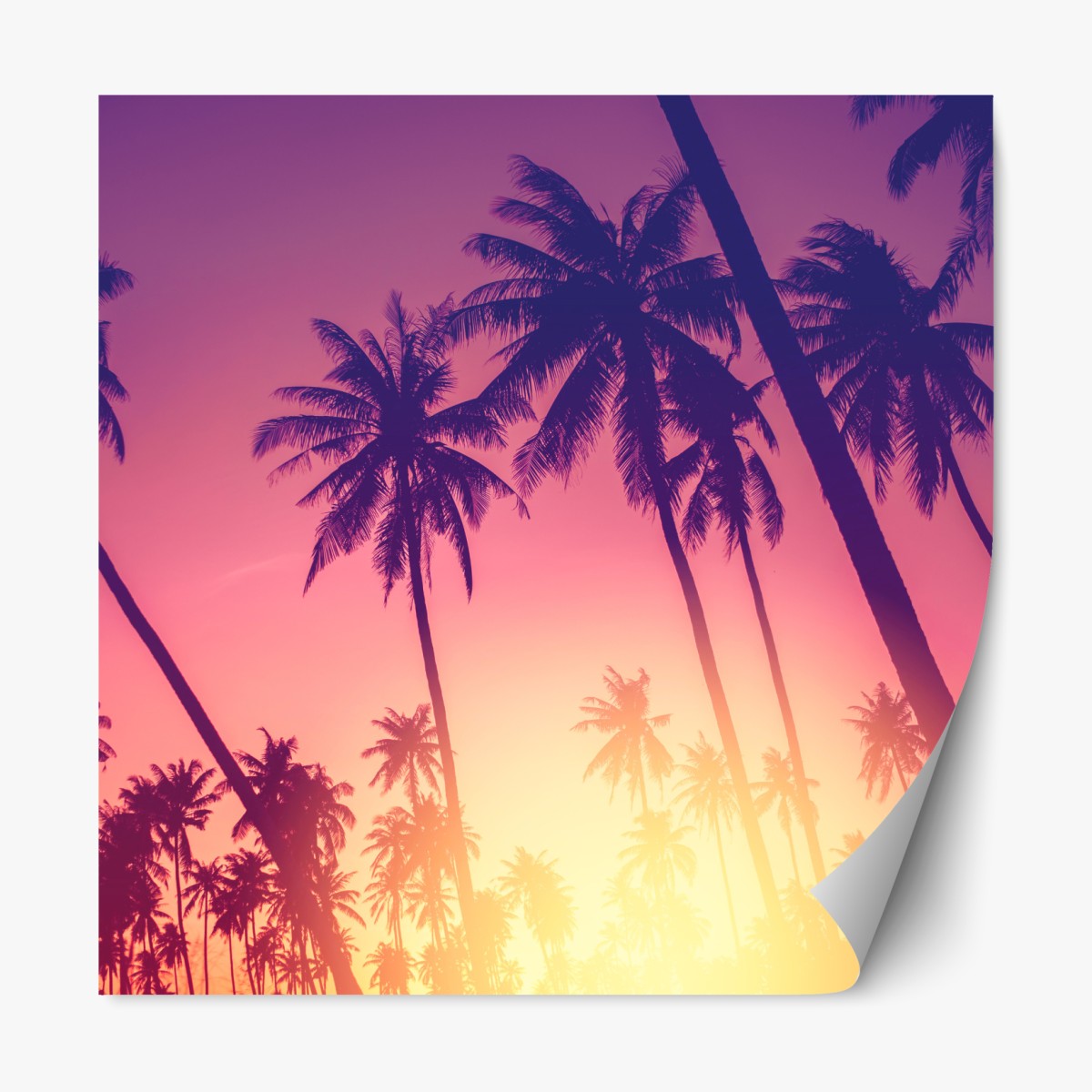 Repositionable sticker tropical palm sunset silhouette