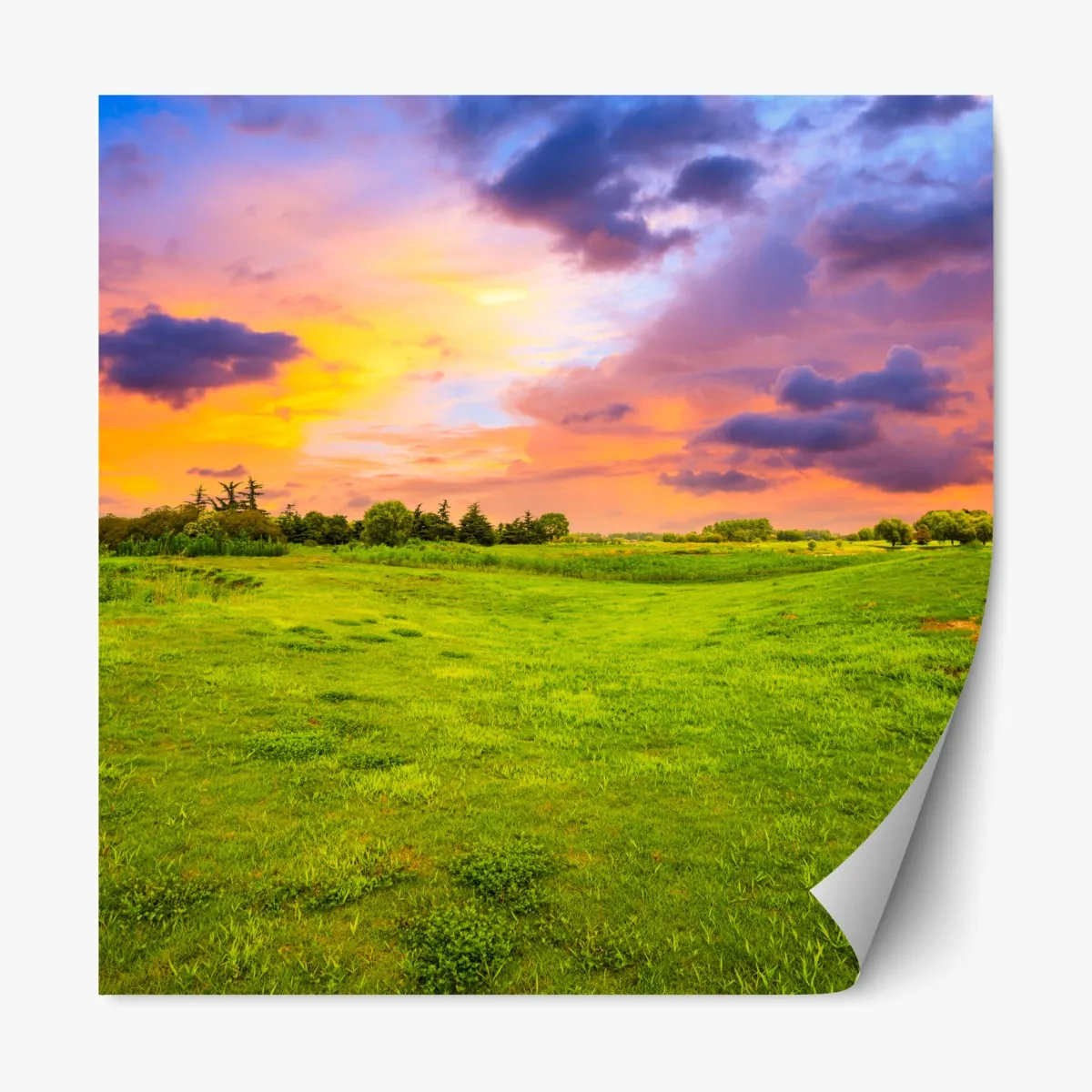 Naklejka repozycjonowalna zachód słońca nad zieloną łąką – Wallissimo® Naklejka repozycjonowalna zachód słońca nad zieloną łąką – Wallissimo®
