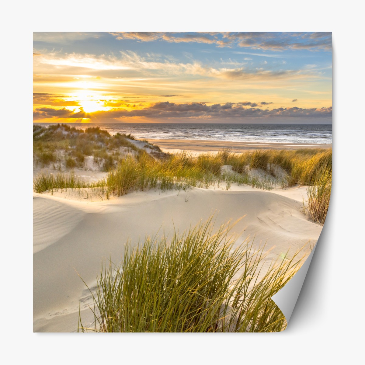 Repositionable sticker sunset over Ameland dunes