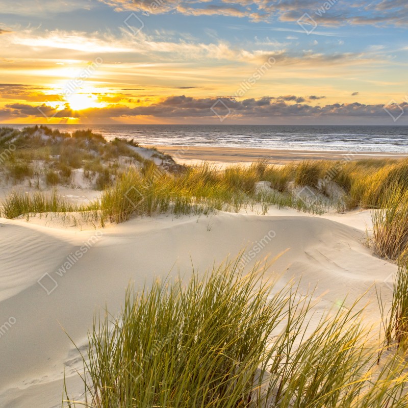 Naklejka repozycjonowalna zachód słońca nad wydmami Ameland – Wallissimo® Naklejka repozycjonowalna zachód słońca nad wydmami Ameland – Wallissimo®