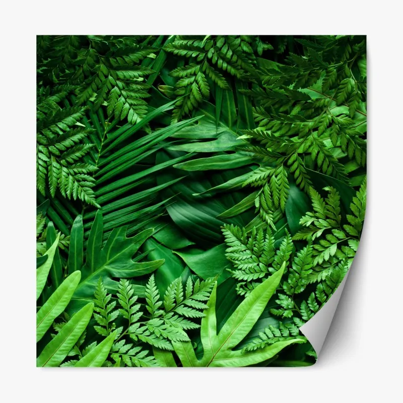 Naklejka repozycjonowalna majestatyczny zimowy krajobraz Karpat – Wallissimo®