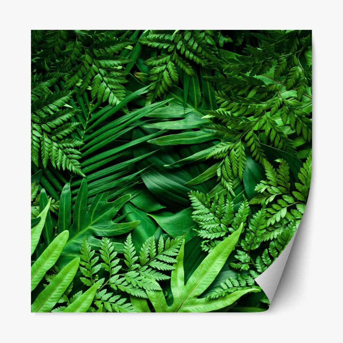 Naklejka repozycjonowalna bujny zielony wzór liści – Wallissimo® Naklejka repozycjonowalna bujny zielony wzór liści – Wallissimo®