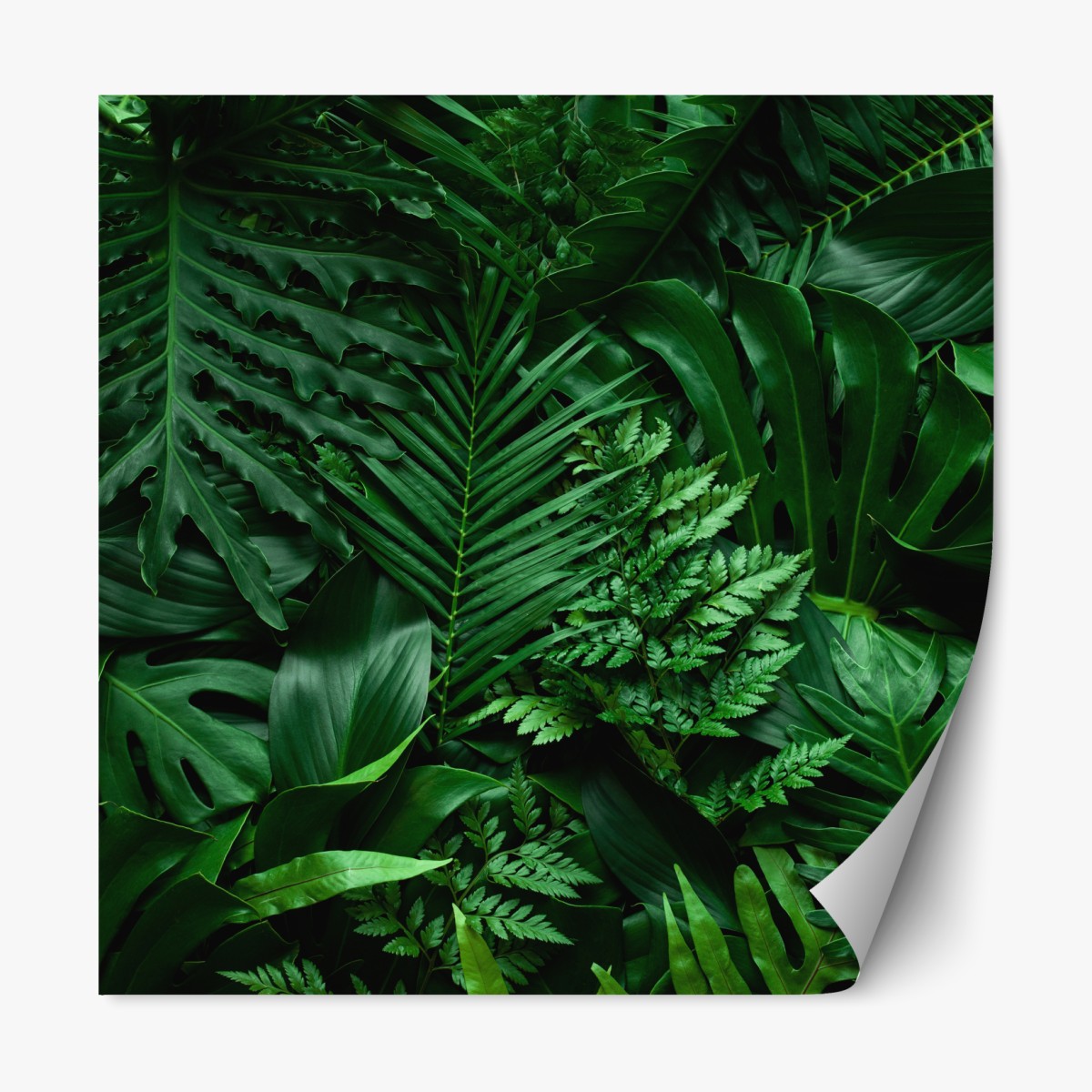 Repositionable sticker lush tropical jungle leaves