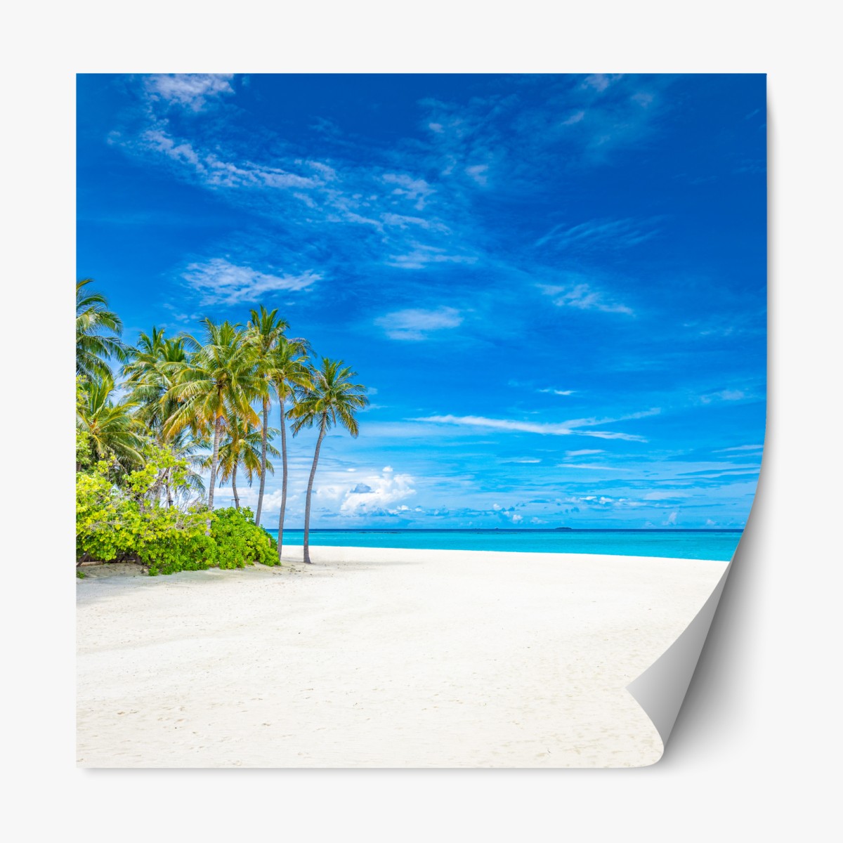 Repositionable sticker tropical beach with palm trees