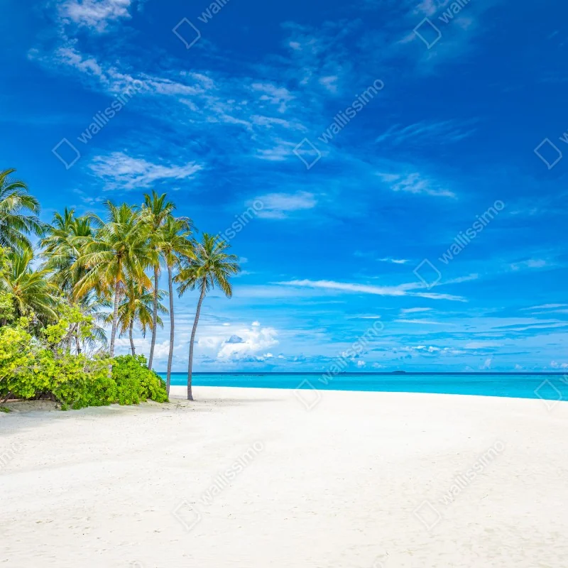 Naklejka repozycjonowalna tropikalna plaża z palmami – Wallissimo® Naklejka repozycjonowalna tropikalna plaża z palmami – Wallissimo®