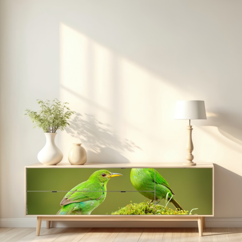 Naklejka repozycjonowalna intensywne zielone miodojady na mchu – Wallissimo® Naklejka repozycjonowalna intensywne zielone miodojady na mchu – Wallissimo®