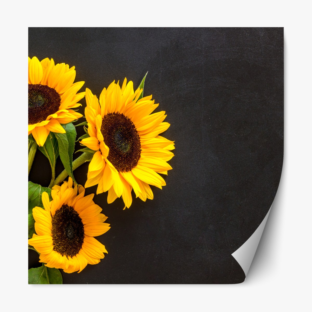 Repositionable sticker sunflower bouquet on chalkboard background