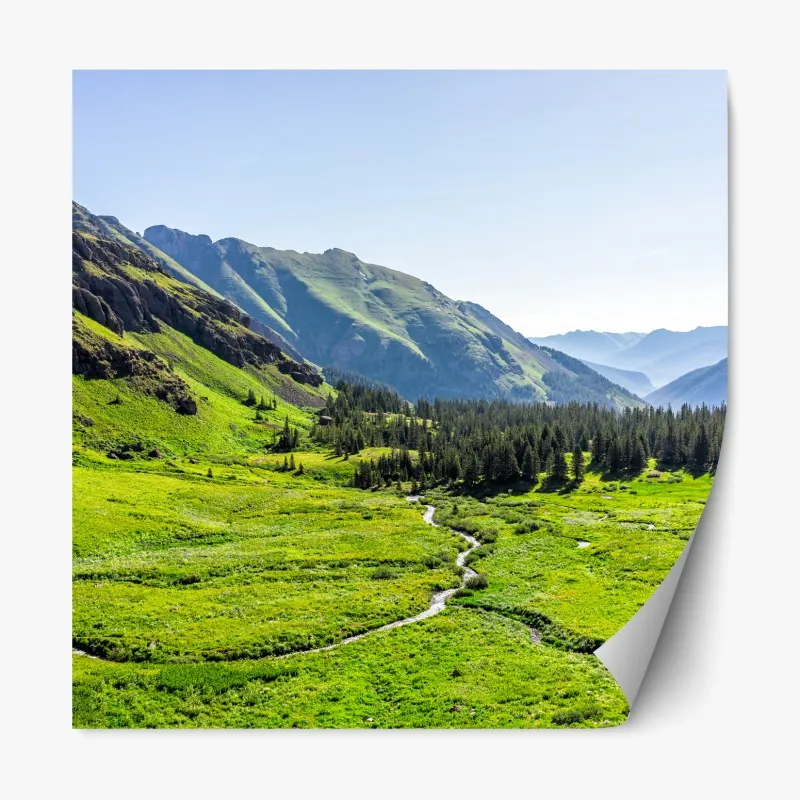 Naklejka repozycjonowalna wejście na plażę Debki nad Bałtykiem – Wallissimo®