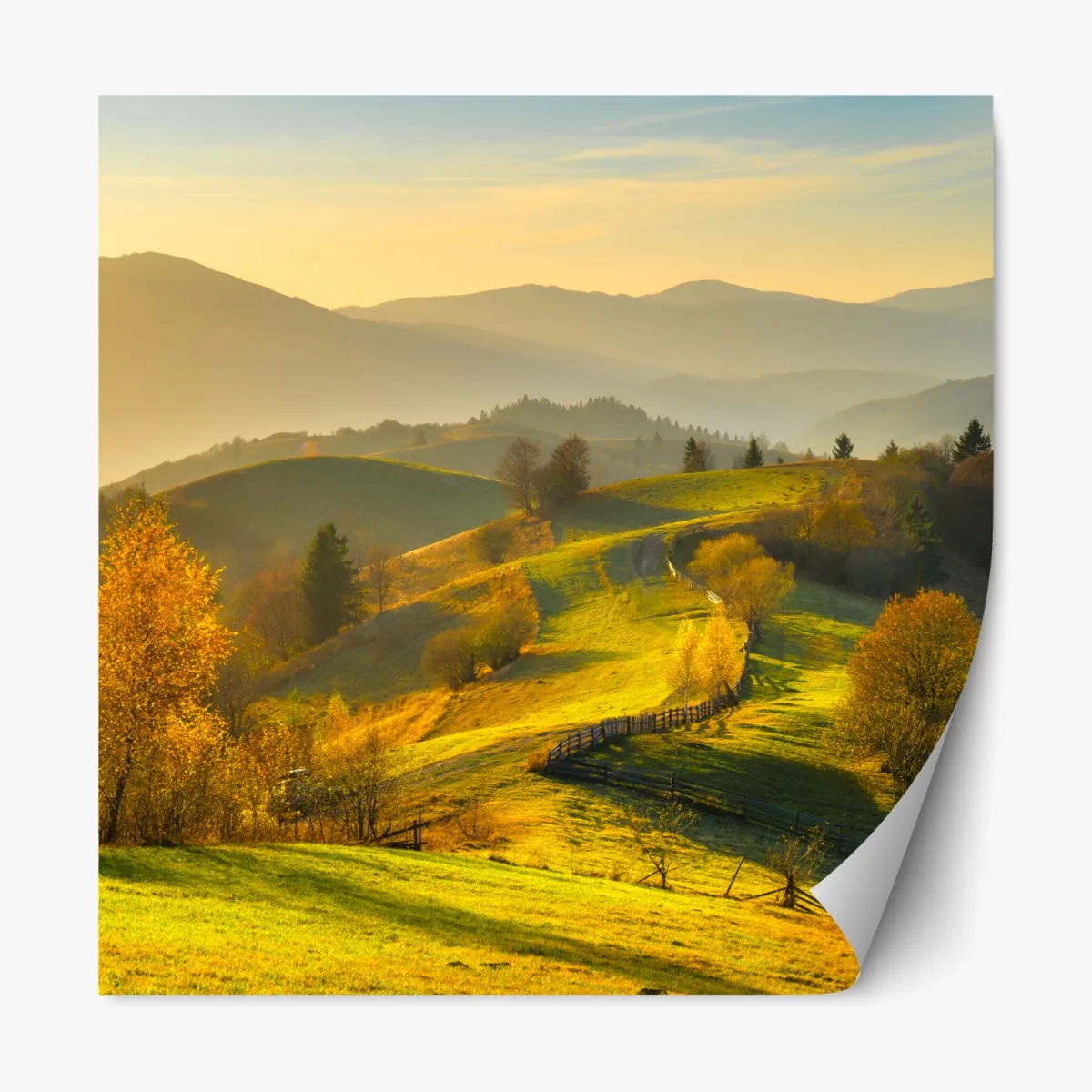 Naklejka repozycjonowalna złote jesienne wzgórza o zachodzie słońca – Wallissimo® Naklejka repozycjonowalna złote jesienne wzgórza o zachodzie słońca – Wallissimo®