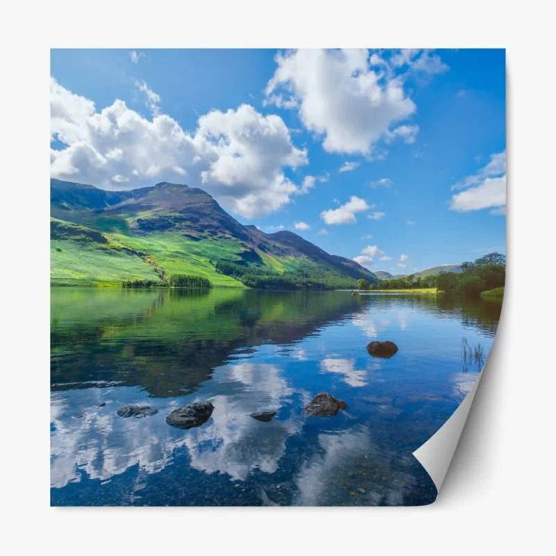 Naklejka repozycjonowalna portret czarnej pantery na czarnym tle – Wallissimo®