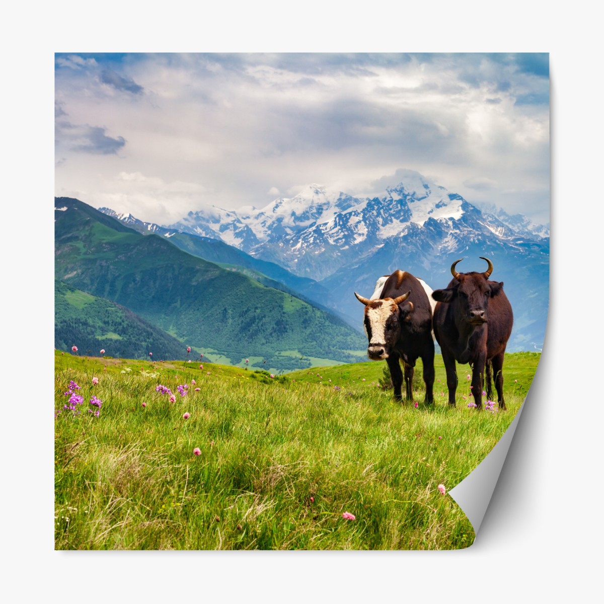 Repositionable sticker alpine meadow with grazing cows