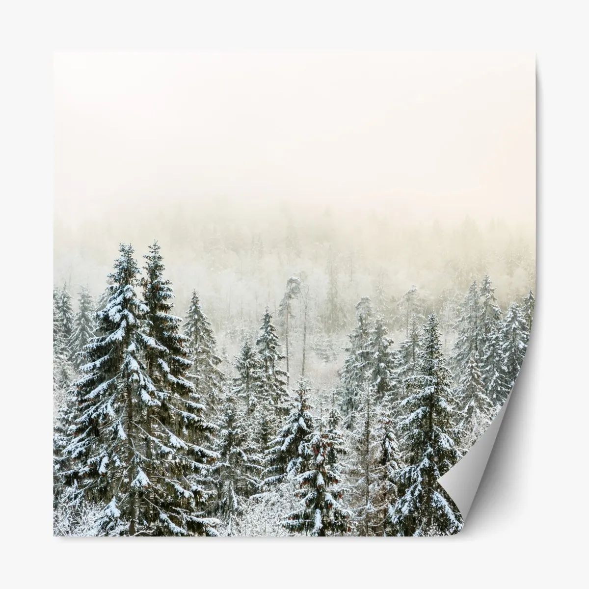 Naklejka repozycjonowalna zimowy las w delikatnej mgle – Wallissimo® Naklejka repozycjonowalna zimowy las w delikatnej mgle – Wallissimo®