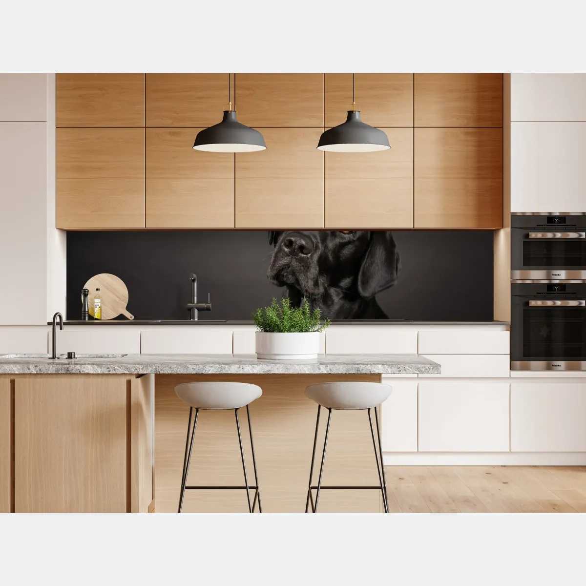 Naklejka repozycjonowalna portret studyjny czarnego labradora – Wallissimo® Naklejka repozycjonowalna portret studyjny czarnego labradora – Wallissimo®