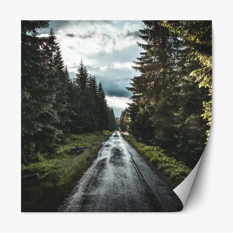 Naklejka repozycjonowalna sucha protea w sepii – Wallissimo®