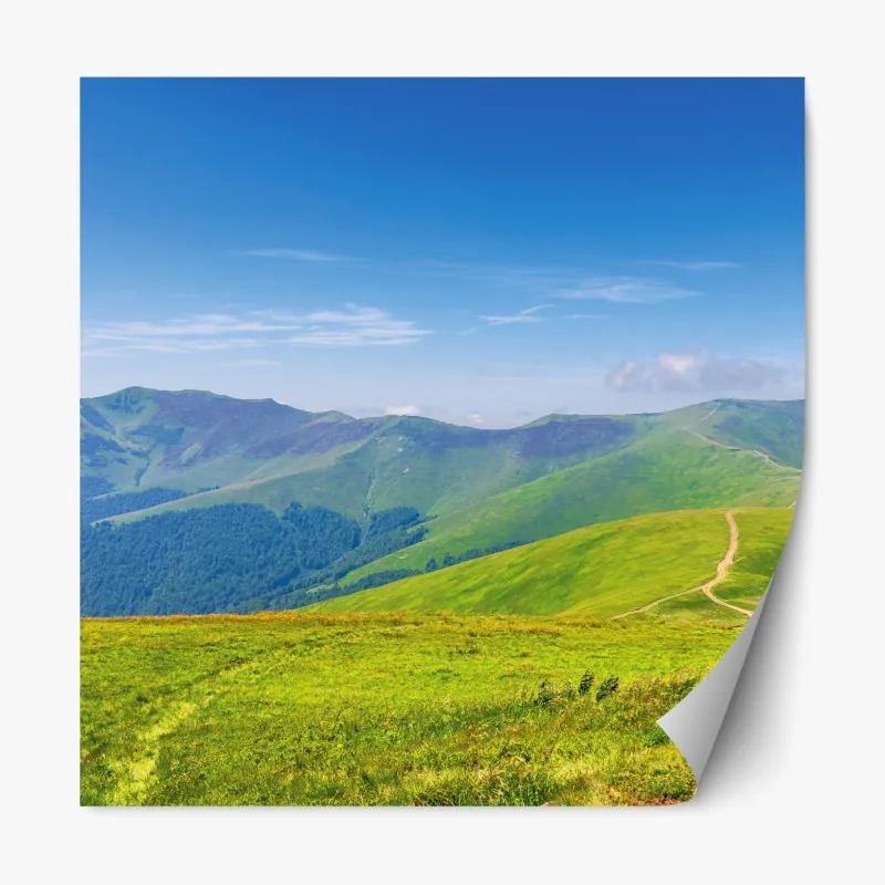 Naklejka repozycjonowalna słoneczny drewniany most nad spokojnym jeziorem – Wallissimo®