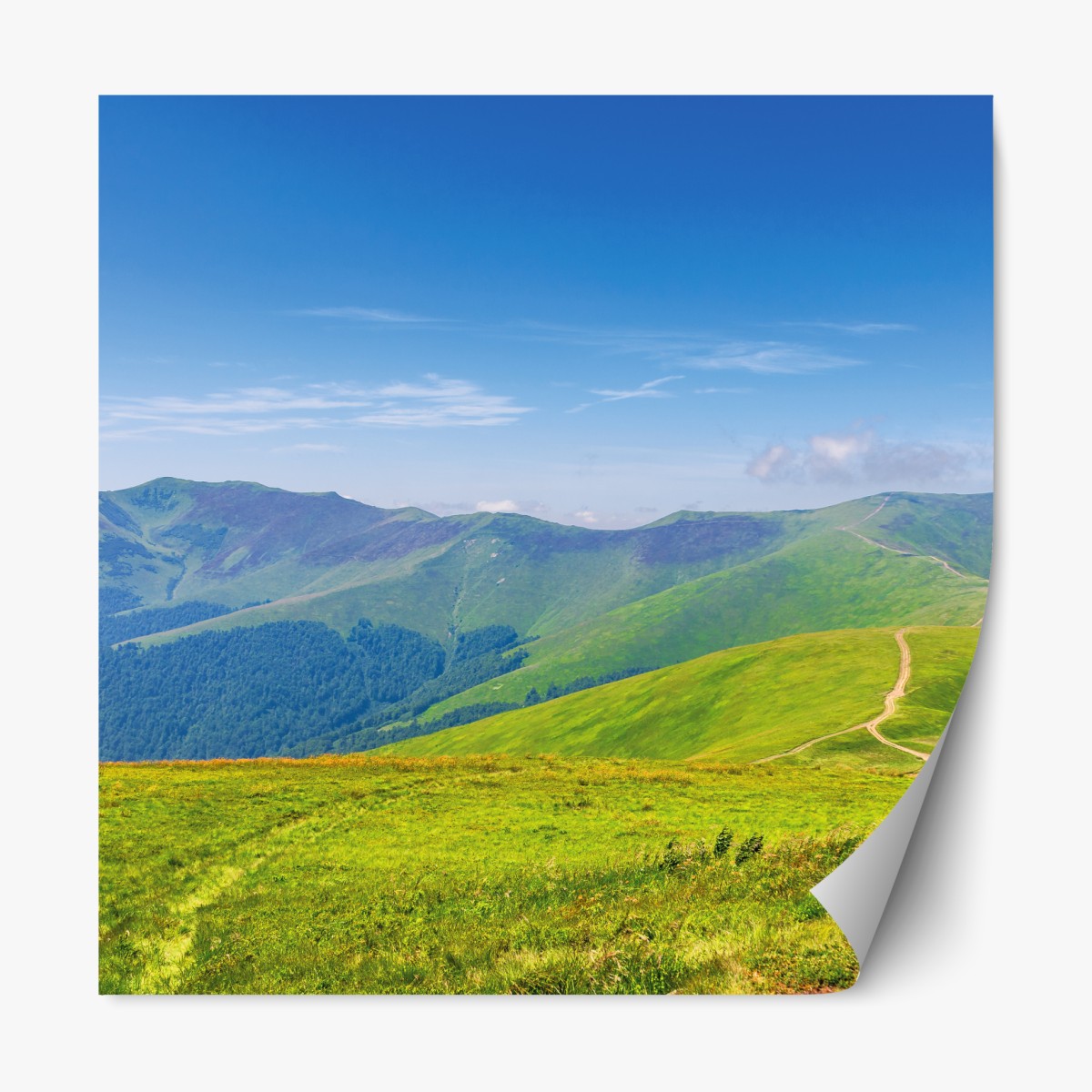 Repositionable sticker sunny Borzhava ridge meadow, Transcarpathia, Ukraine
