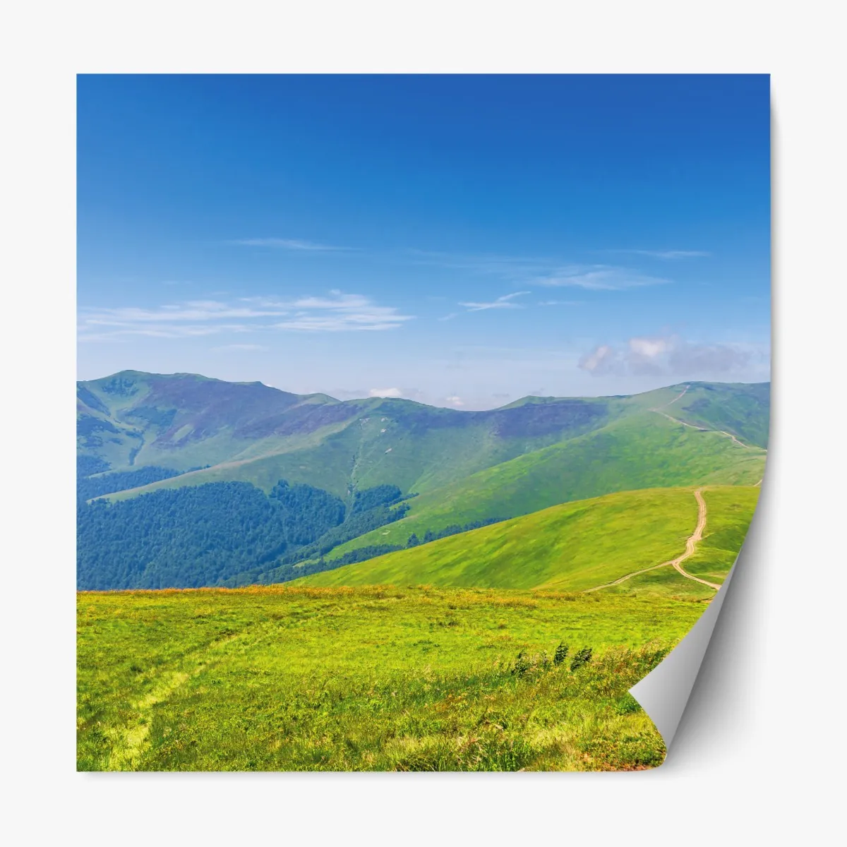 Naklejka repozycjonowalna słoneczna łąka Borżawa, Zakarpacie, Ukraina – Wallissimo® Naklejka repozycjonowalna słoneczna łąka Borżawa, Zakarpacie, Ukraina – Wallissimo®