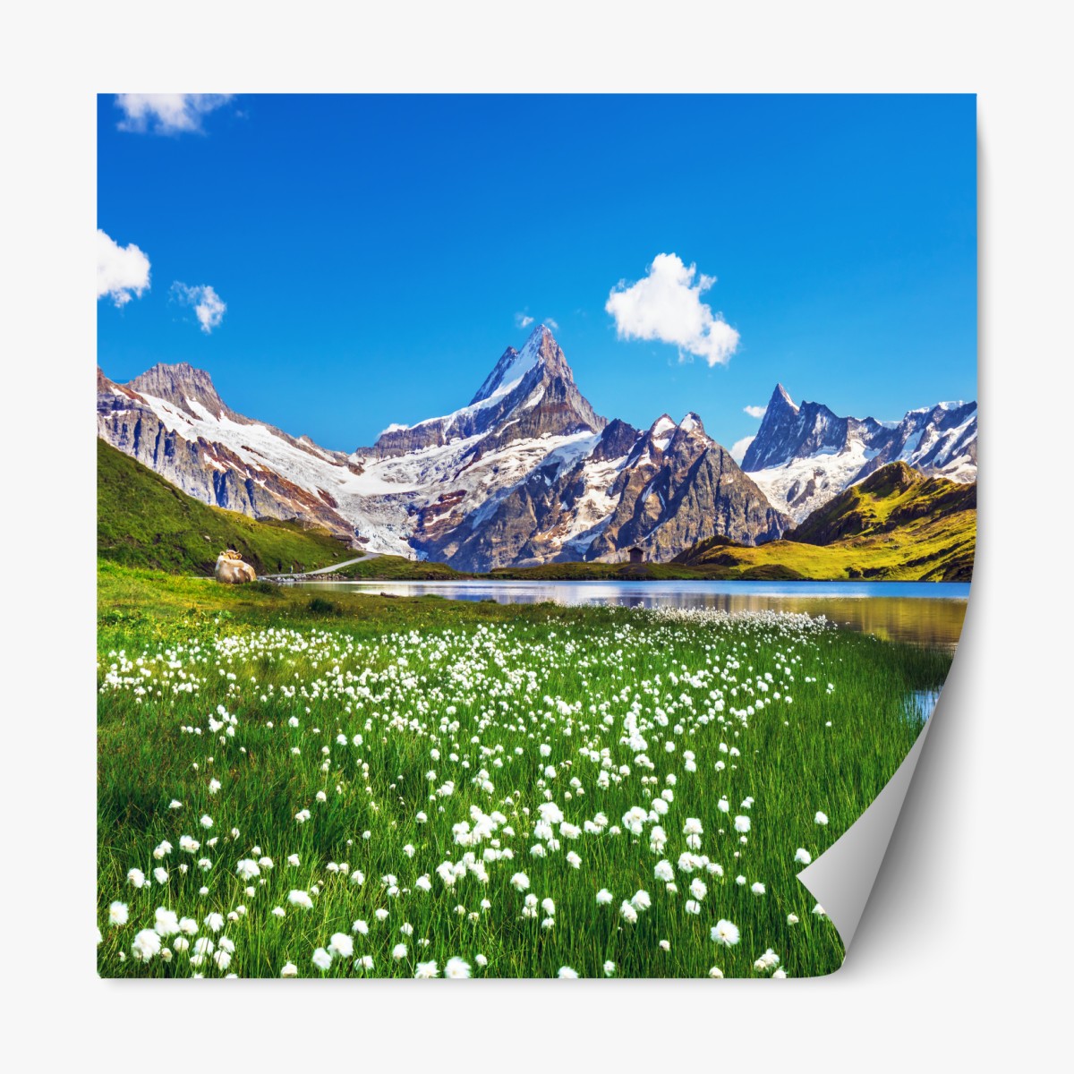Repositionable sticker alpine mountain lake with wildflower meadow