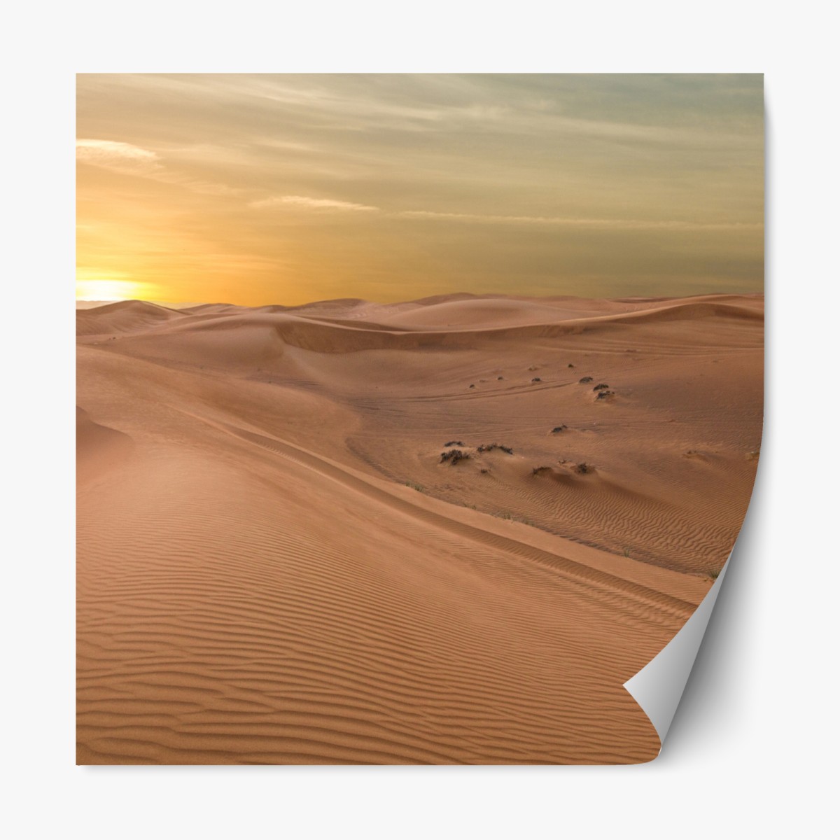 Repositionable sticker sunset over UAE desert dunes