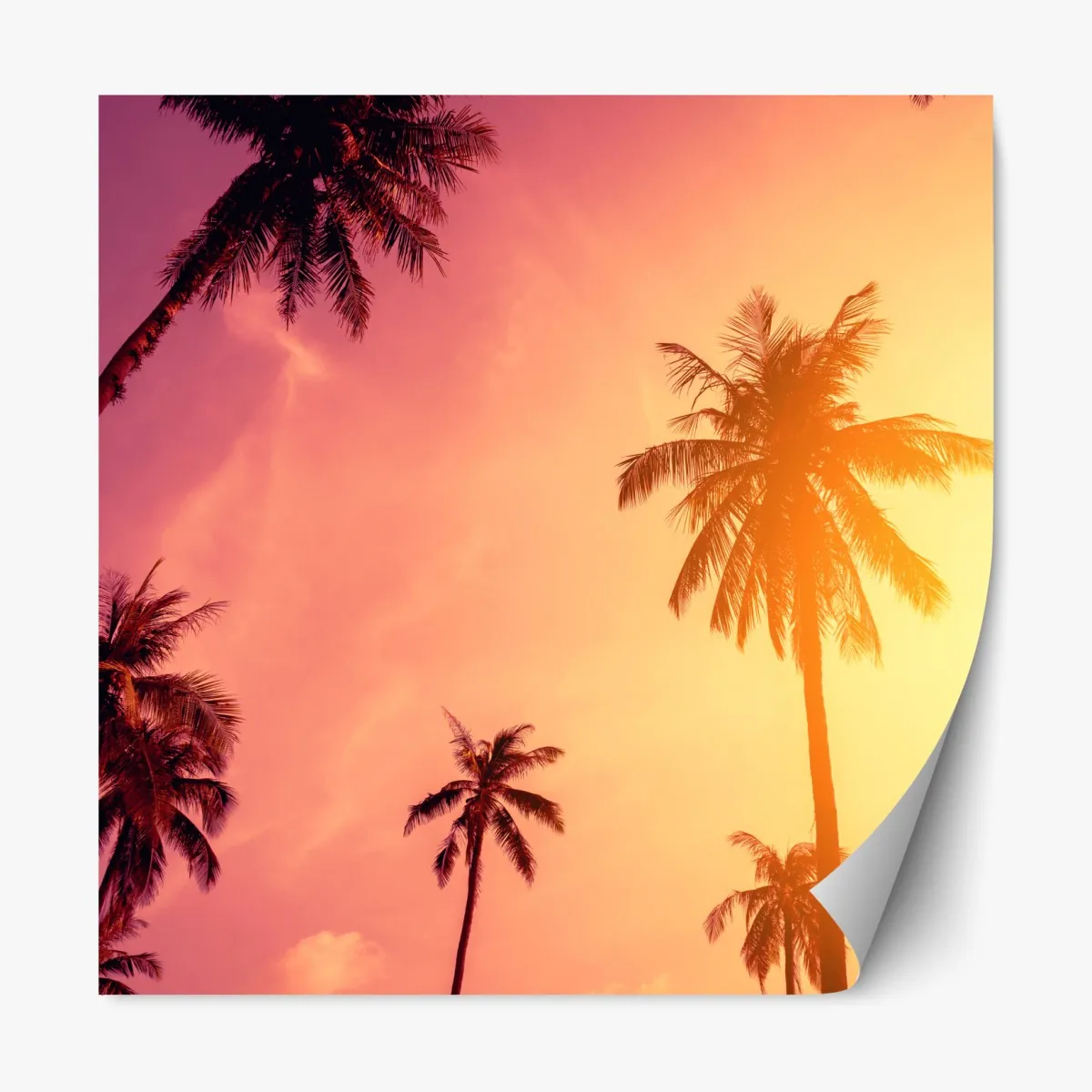 Naklejka repozycjonowalna tropikalny zachód słońca z palmami – Wallissimo® Naklejka repozycjonowalna tropikalny zachód słońca z palmami – Wallissimo®