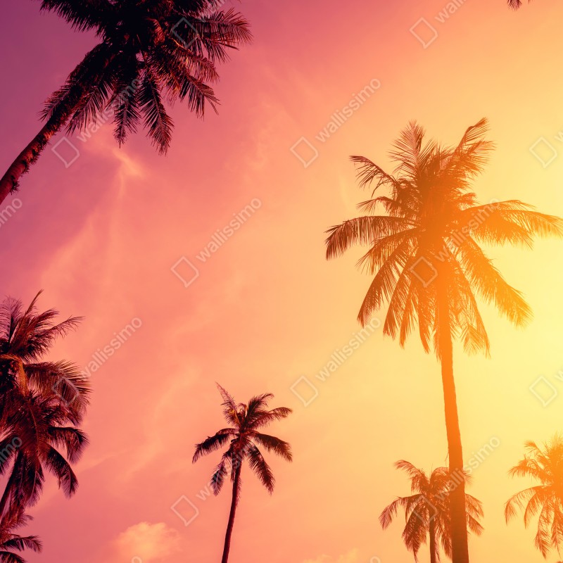Naklejka repozycjonowalna tropikalny zachód słońca z palmami – Wallissimo® Naklejka repozycjonowalna tropikalny zachód słońca z palmami – Wallissimo®