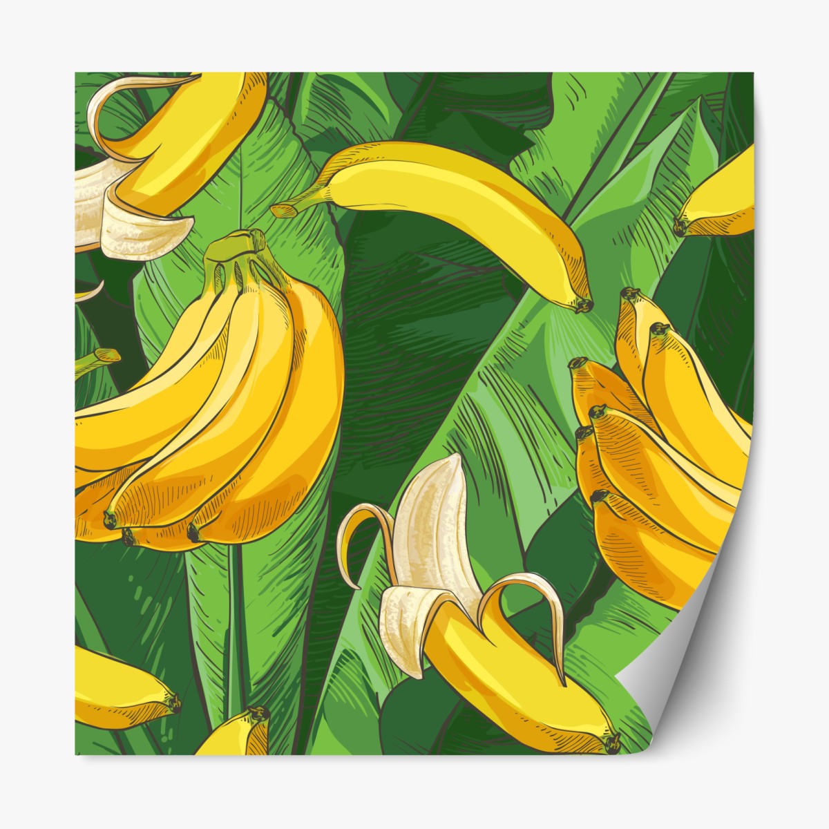 Repositionable sticker tropical banana pattern with banana leaves