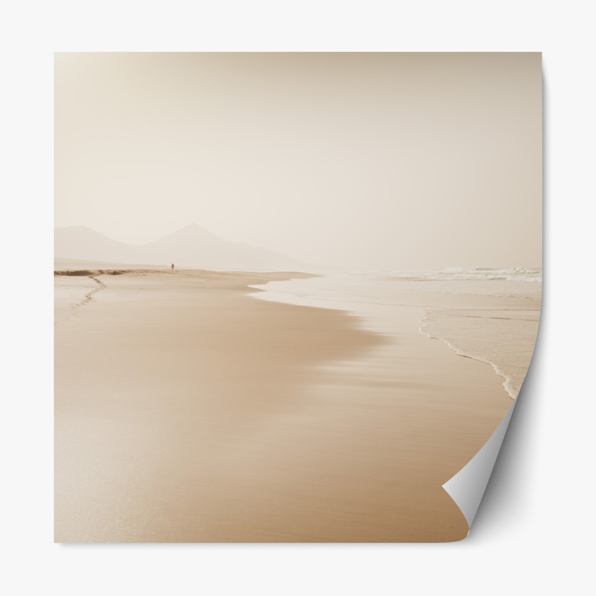 Repositionable sticker serene sepia beachscape