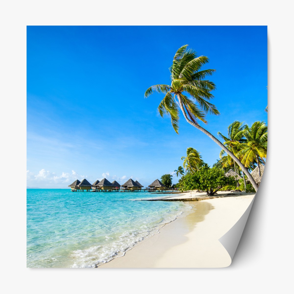 Repositionable sticker tropical turquoise beach with palm trees
