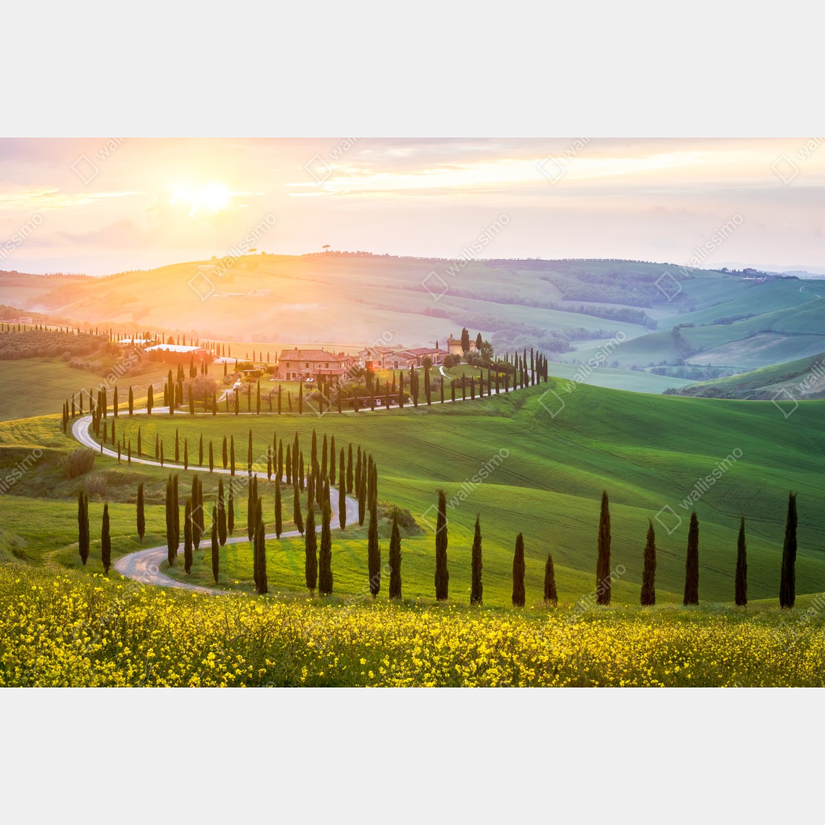 Naklejka repozycjonowalna wschód słońca w Toskanii – Wallissimo® Naklejka repozycjonowalna wschód słońca w Toskanii – Wallissimo®