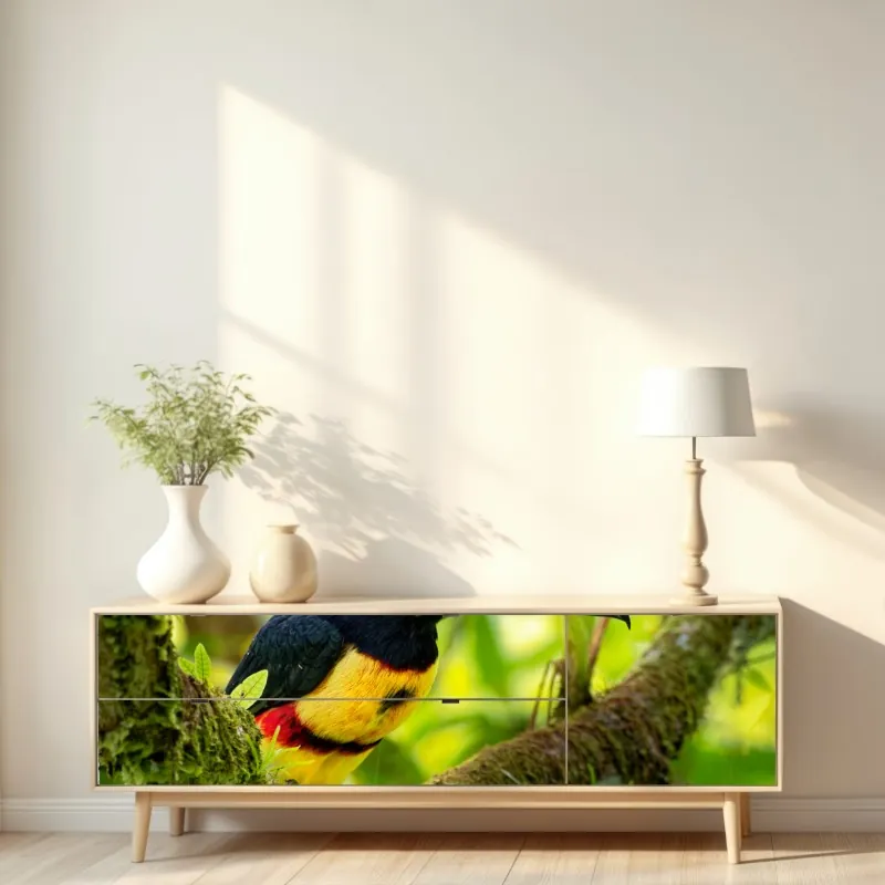 Naklejka repozycjonowalna żywy tukan aracari w tropikalnej dżungli – Wallissimo® Naklejka repozycjonowalna żywy tukan aracari w tropikalnej dżungli – Wallissimo®