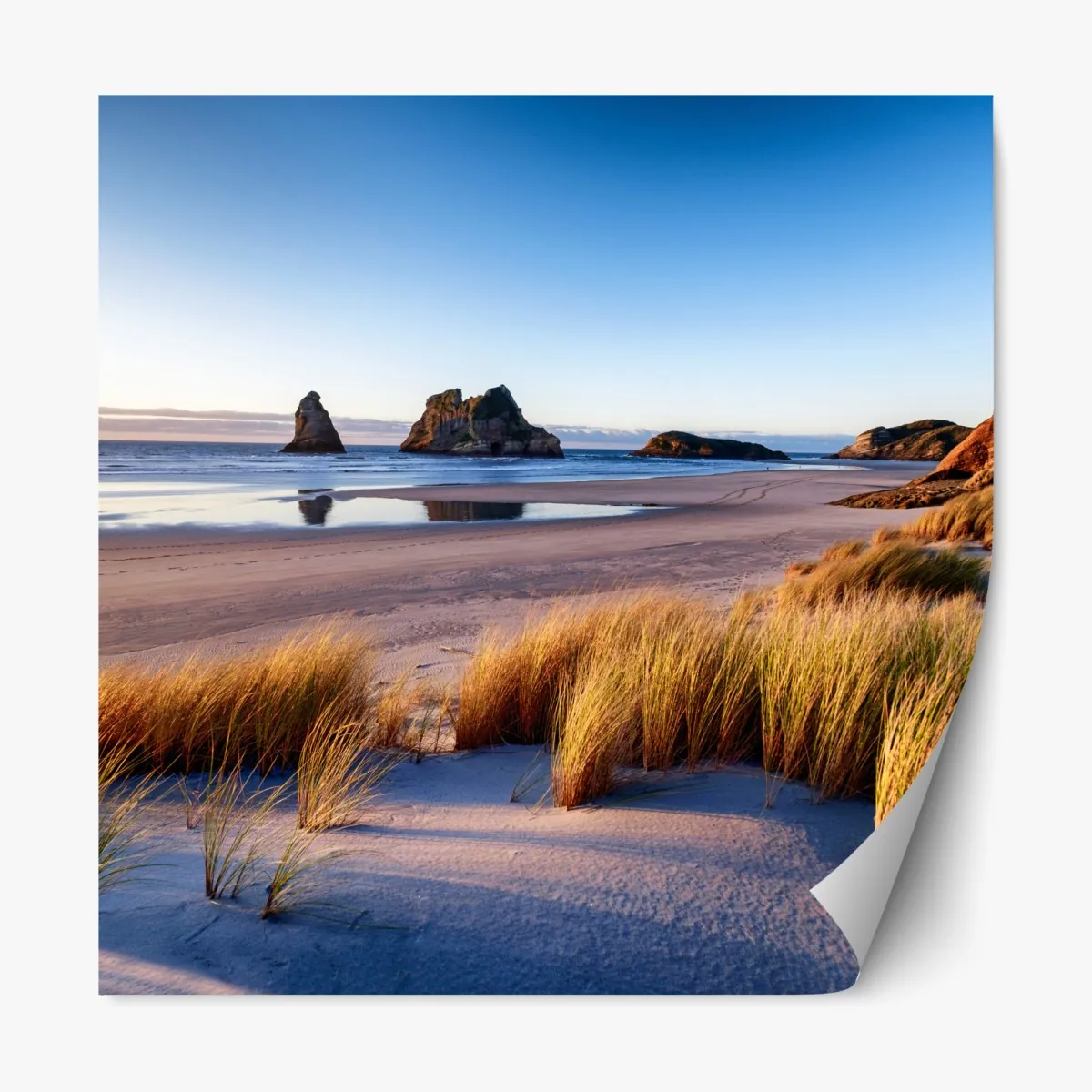 Naklejka repozycjonowalna Wharariki Beach poranny pejzaż nad morzem – Wallissimo® Naklejka repozycjonowalna Wharariki Beach poranny pejzaż nad morzem – Wallissimo®